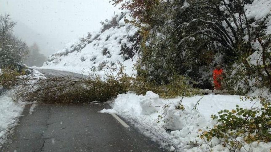 Arboles caídos en las carreteras de Babia, Omaña y Luna en León. Imagen de @MayoJos