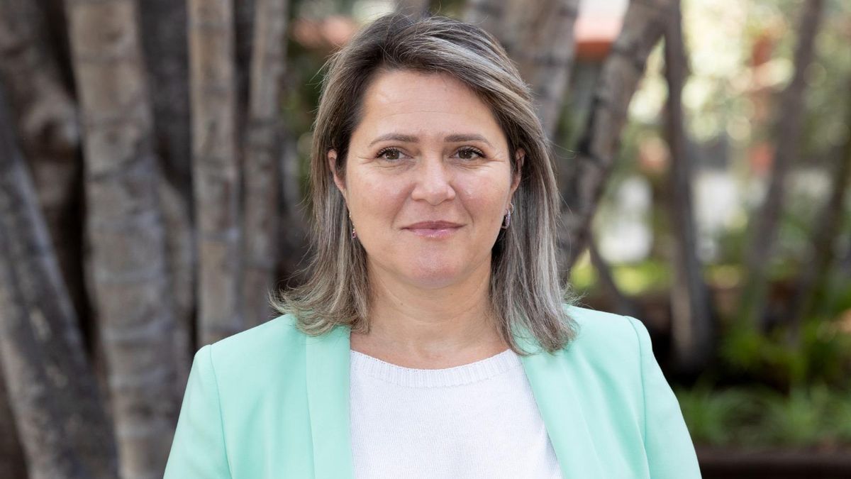 Un decreto que cambiaba la emergencia energética en Canarias