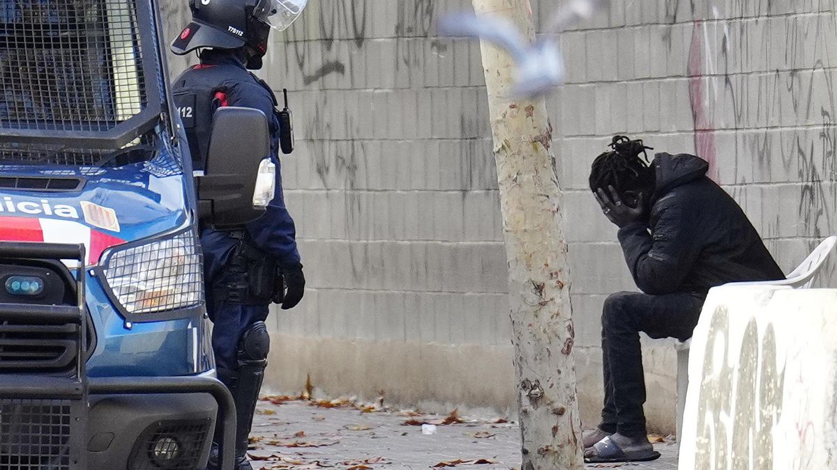 Como a los animales: cuento de Navidad 2025