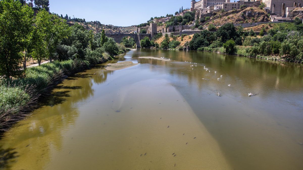 Los temas pendientes del agua en Castilla-La Mancha: sentencias del Supremo, Tajo-Segura y más