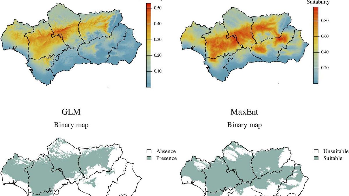 El cambio climático puede ampliar las zonas favorables para la verticilosis del olivo en Andalucía, según el IAS-CSIC