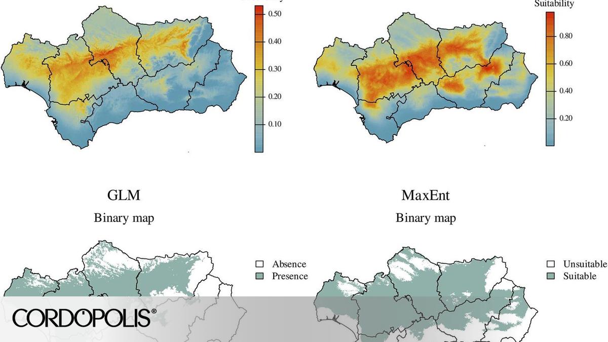 El cambio climático puede ampliar las zonas favorables para la verticilosis del olivo en Andalucía, según el IAS-CSIC – elDiario.es