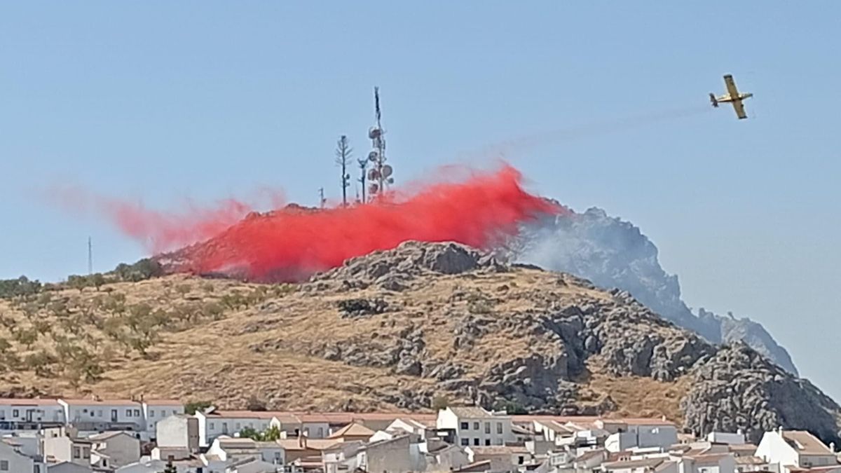 Una avioneta del Infoca actuando contra el incendio.