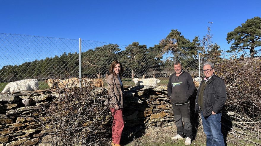 Castilla-La Mancha elimina el límite máximo de las ayudas a ganaderos por daños ocasionados por lobos