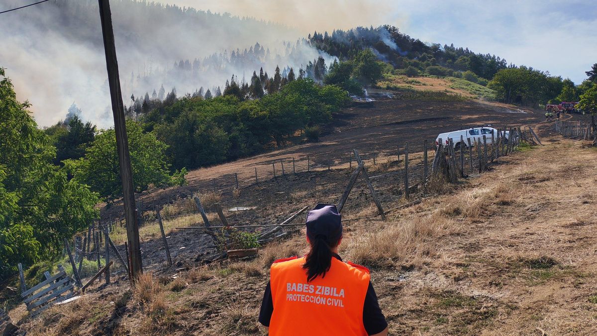 Los Bomberos trabajan en varios incendios en Bizkaia, con fuegos reactivados en Erandio y Alonsotegi