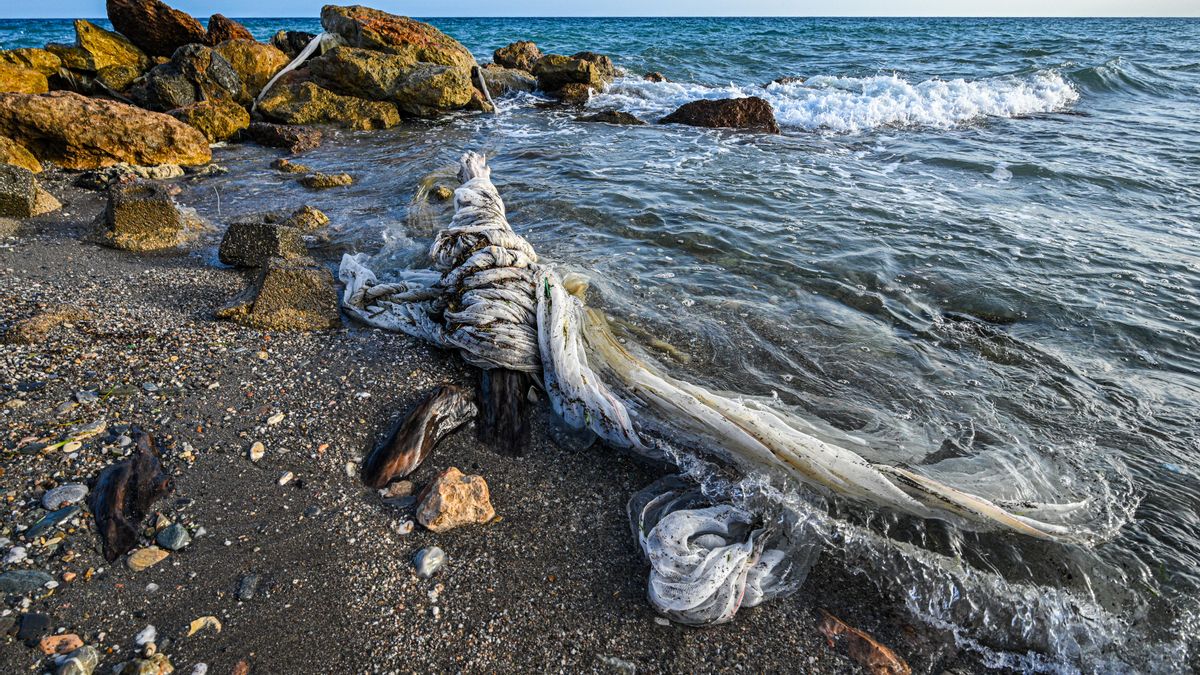 El invernadero acaba en el fondo del mar: cómo la agricultura intensiva 'alimenta' la montaña de basura de plástico
