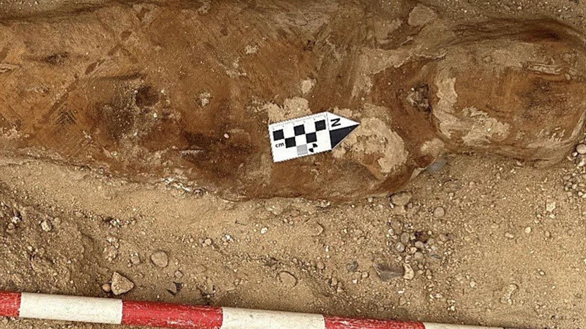 Una de las momias halladas en Oxirrinco tenía un fragmento de la 'Ilíada' de Homero