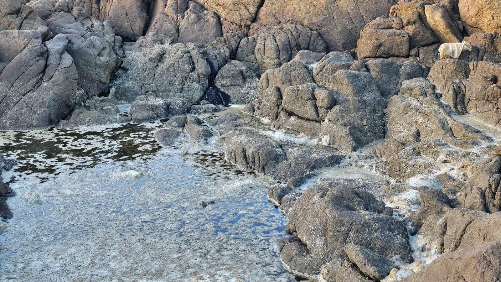 Las pequeñas bolas plásticas se extendían por las rocas, a merced de las olas que baten con fuerza en la costa.