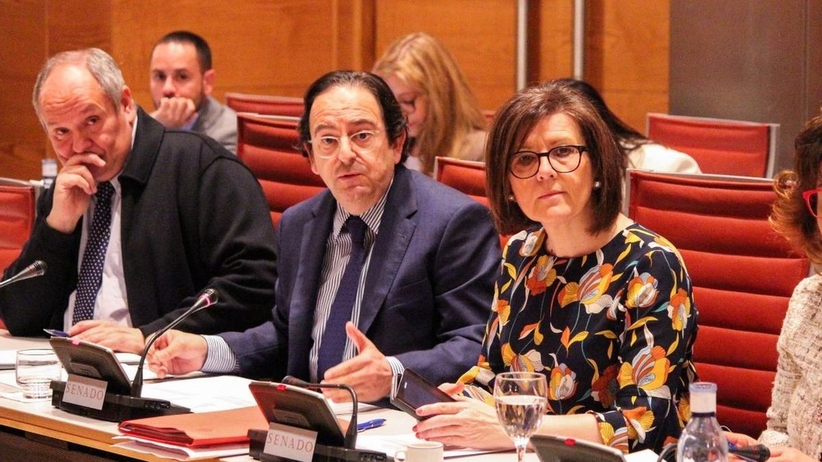 PP rechaza en el Pleno del Senado acabar con la comisión de investigación de la financiación de los partidos políticos