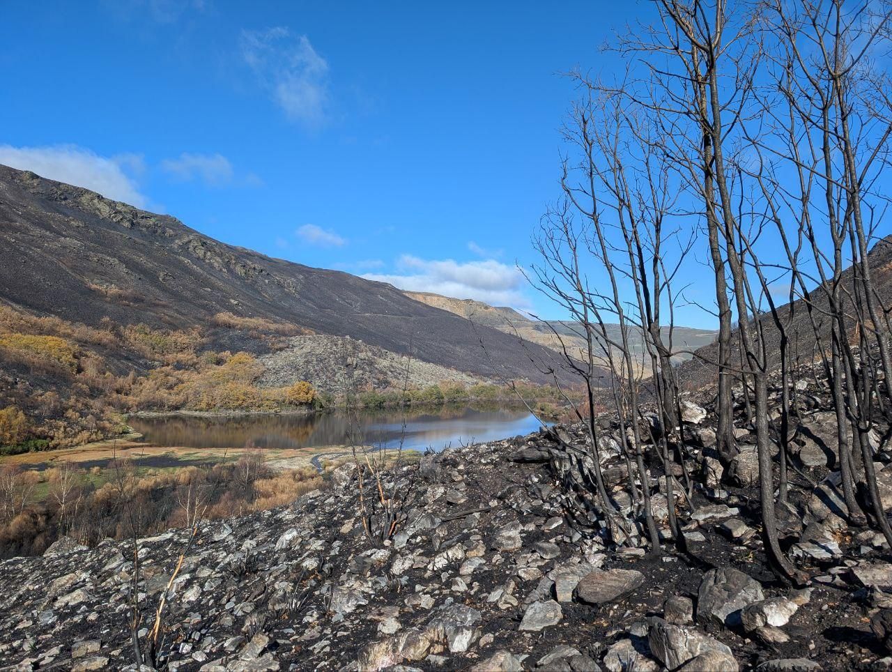 El Lago de la Baña tres meses después de ser arrasado por el fuego