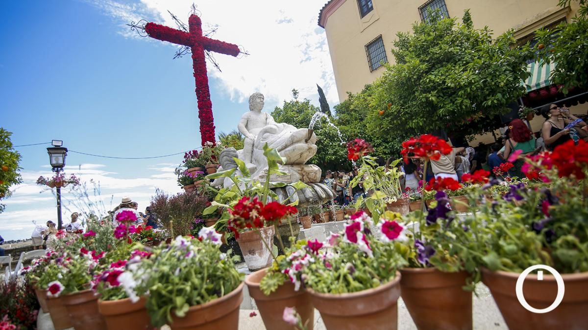 Segundo premio en Recintos Cerrados Cruz de la Hermandad del Santo Sepulcro