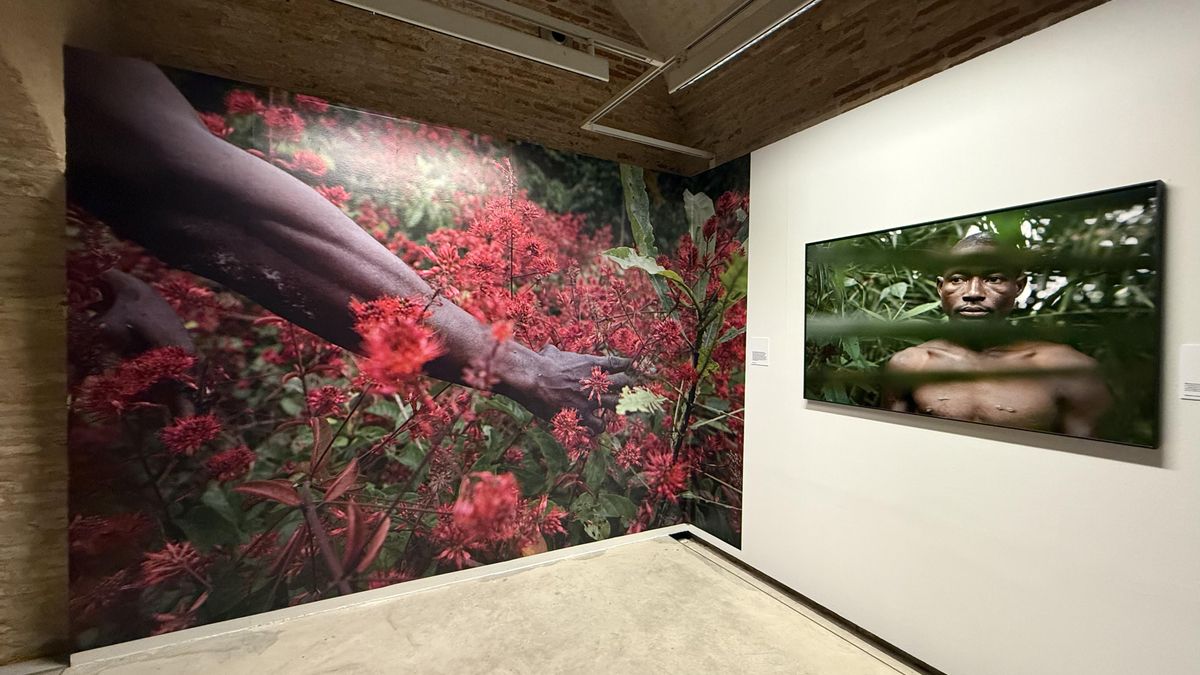 Fotografías de la exposición de Judith Prat