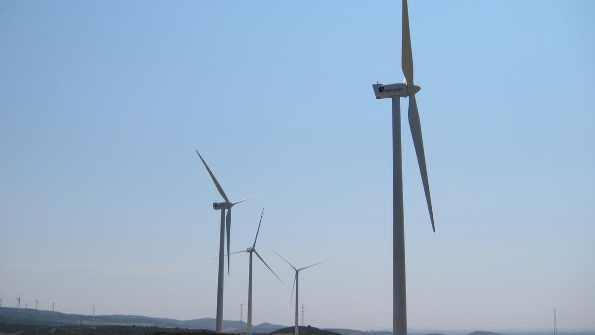 Molinos de viento.