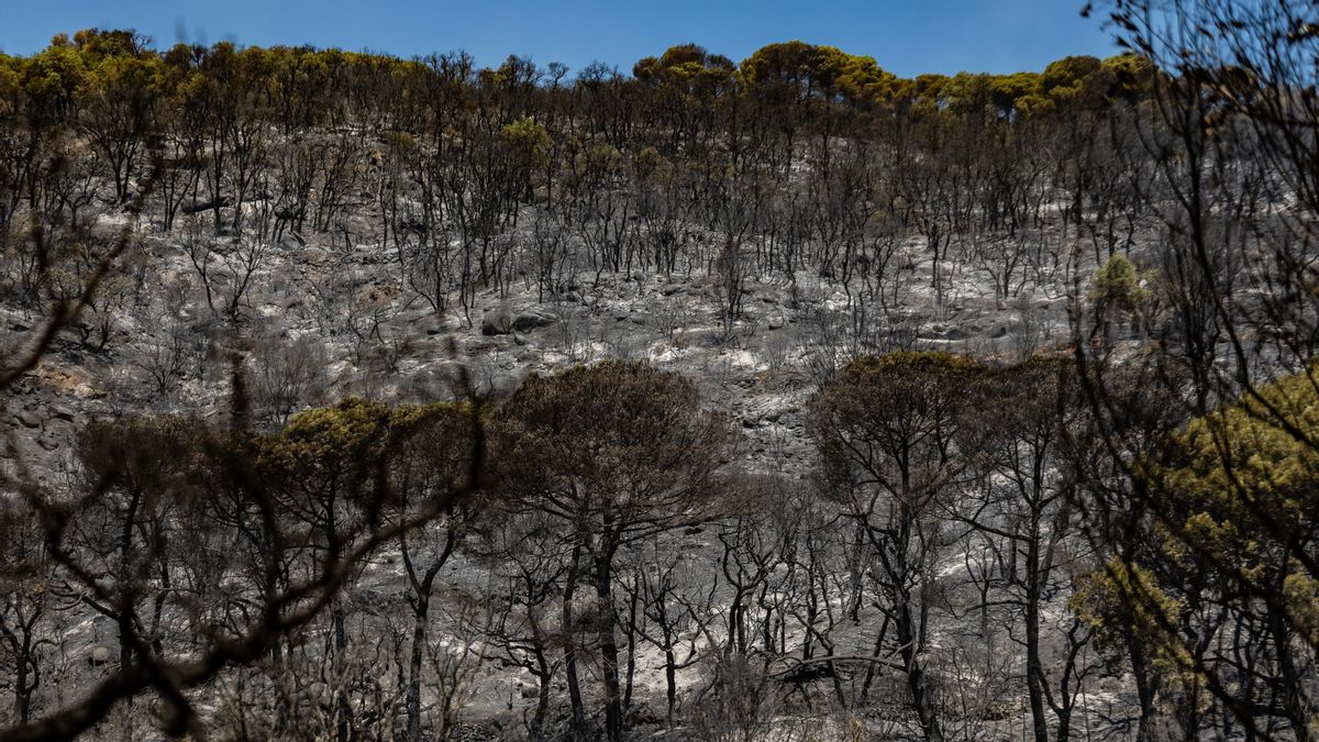 Los Bomberos estabilizan el incendio en Girona y esperan levantar los confinamientos este domingo