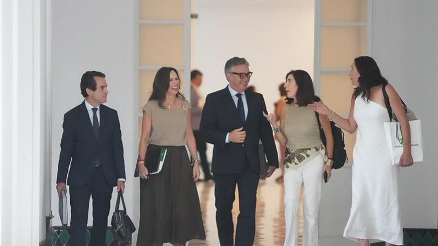 Qué puede "depurar" Vox y qué no de las unidades de violencia de género que ahora gestiona en el Gobierno andaluz