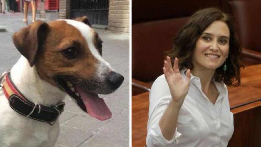 Ayuso aclaró en 'Salvados' qué hay de real en que llevó el Twitter del perro de Esperanza Aguirre, Pecas