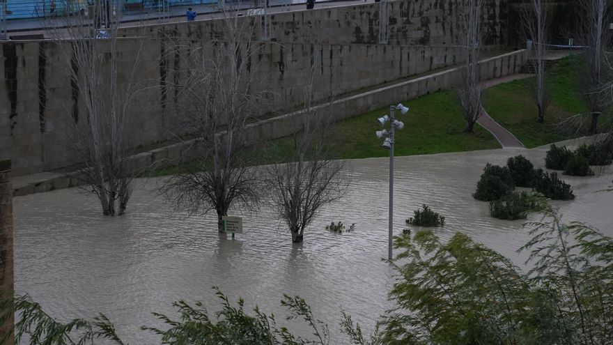 El estado del río Guadalquivir este jueves