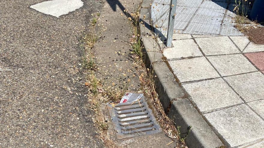 El PP de San Andrés denuncia que los vecinos de varias calles del municipio tienen que asumir su limpieza. Foto del grupo popular