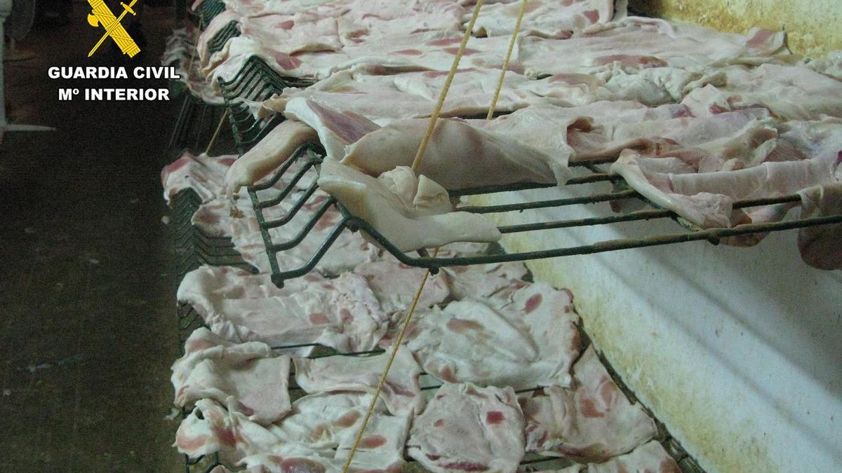 La Guardia Civil cierra una industria ilegal de productos cárnicos sin licencia y con malas condiciones de salubridad en Hellín