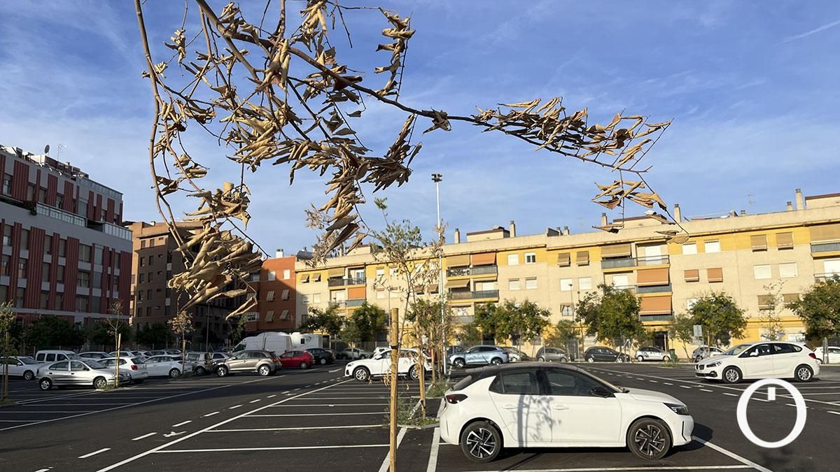 Se secan más de una decena de árboles del aparcamiento de Valdeolleros abierto en junio