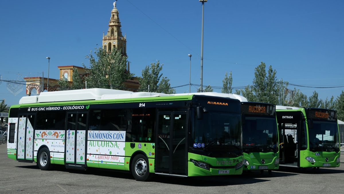 Plan Especial de Movilidad del Ayuntamiento de Córdoba y Junta de Andalucía