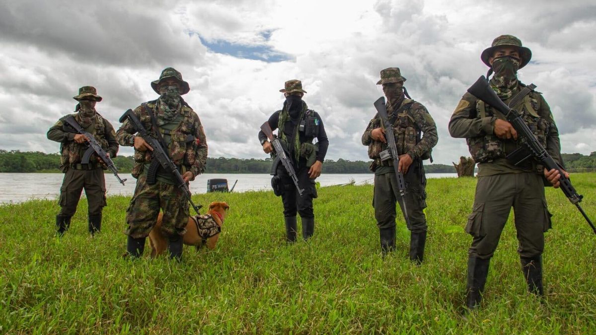 El grupo armado ilegal Comandos de la Frontera apareció en un recorrido periodístico de La Silla Vacía y Mongabay Latam que visitaron la zona del Parque La Paya en 2023. Foto: Santiago Rodríguez