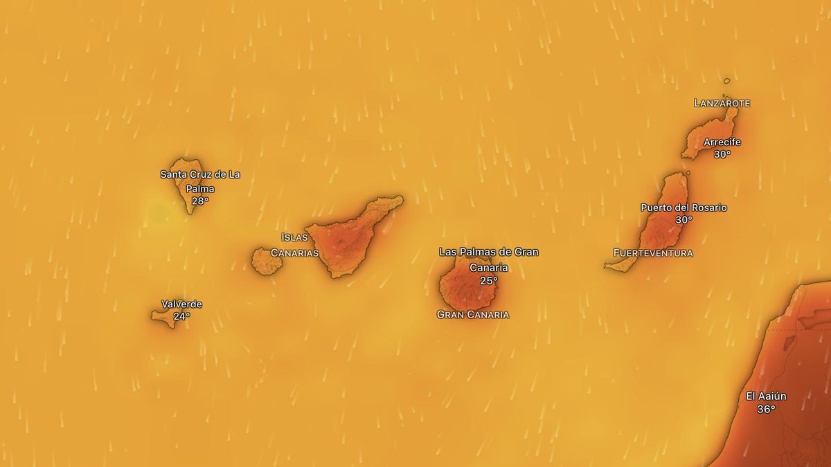 Canarias espera una ola de calor con calima que durará varios días: el Gobierno pone a todas las islas en prealerta