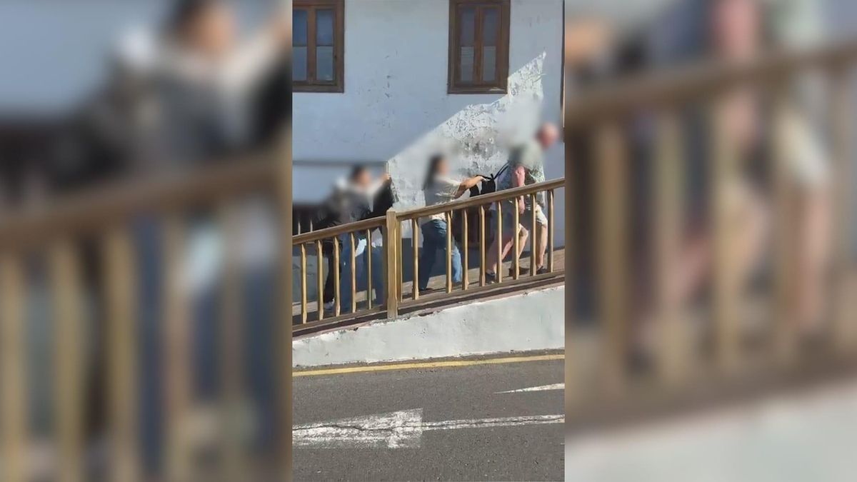 Detenida tras aparecer en un vídeo viral robando a unos turistas en Tenerife