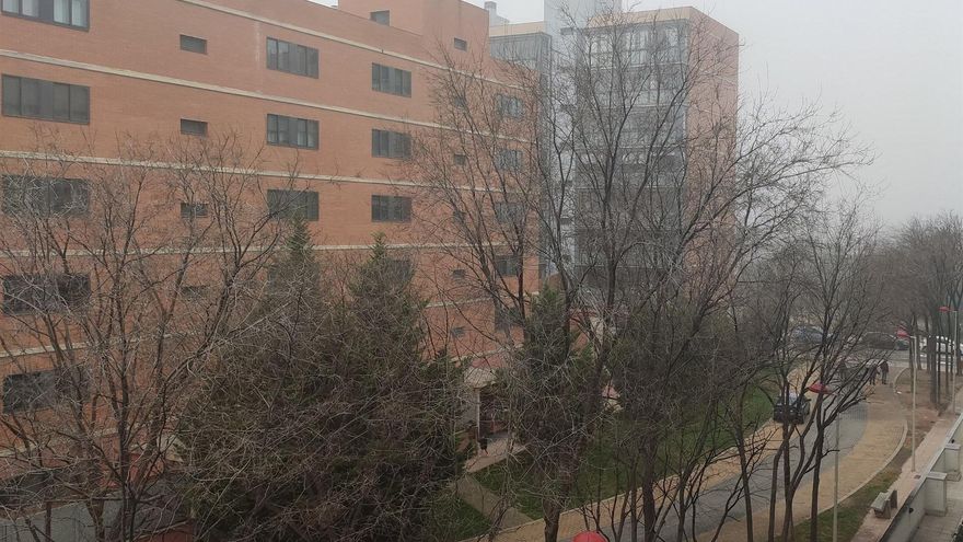 El Ayuntamiento de Zaragoza cierra los parques ante la previsión de rachas de viento de hasta 70 kilómetros por hora