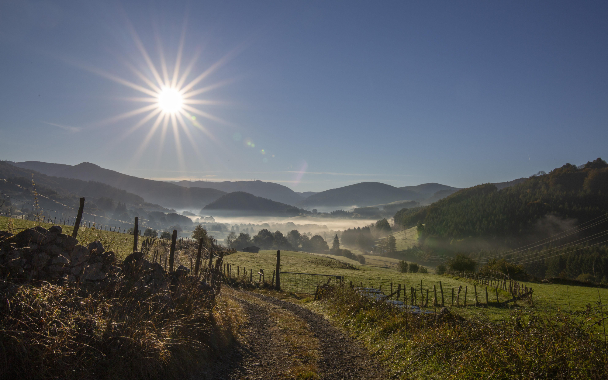 Una vista de la naturaleza de Tolosa