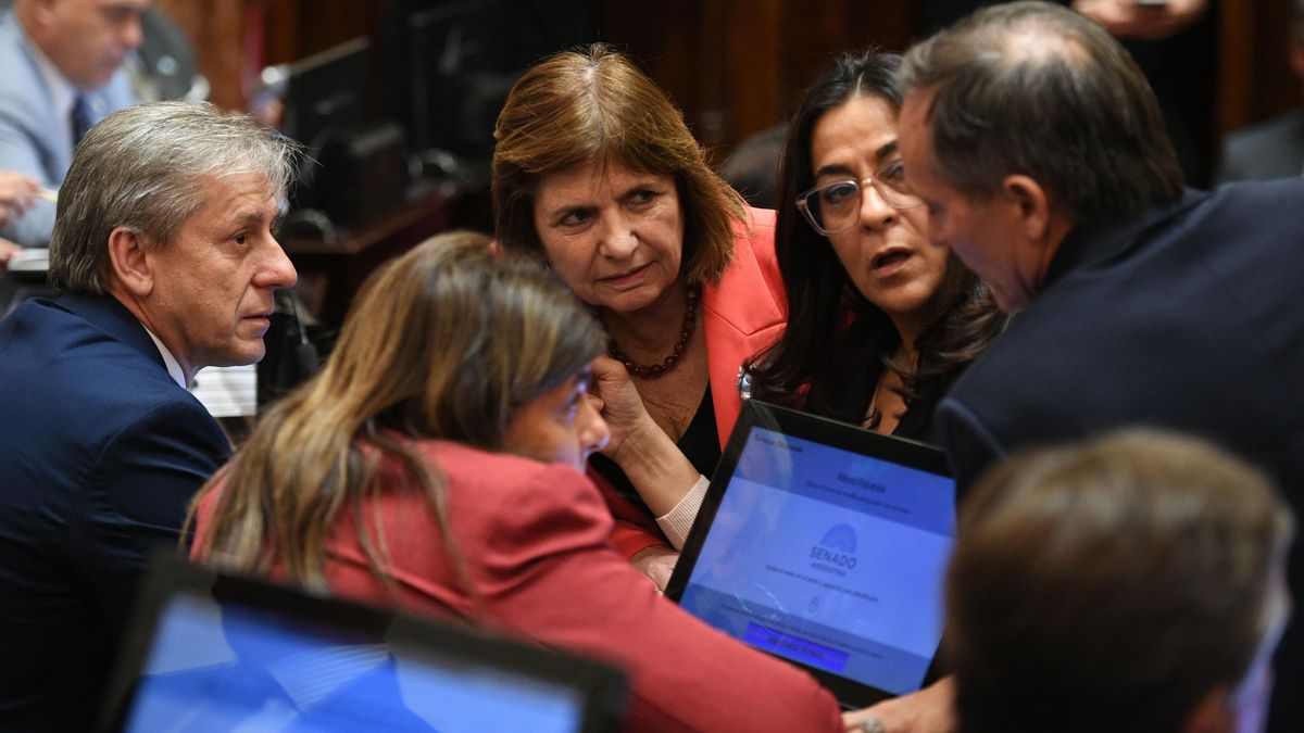 Senado: La Libertad Avanza y bloques dialoguistas acuerdan una sesión para debatir la venta de tierras a extranjeros
