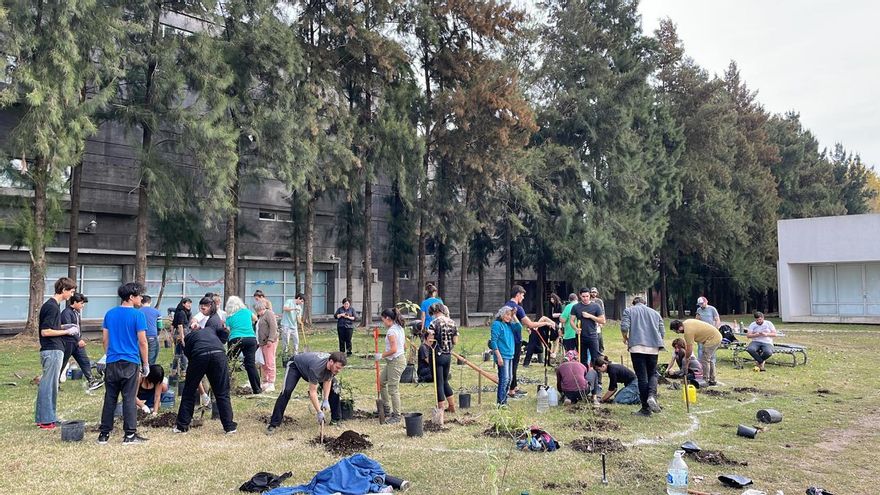 Plantaciones colectivas de árboles nativos: "Cada persona debería por lo menos plantar cinco por año"