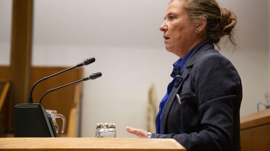 La consejera de Salud, Gotzone Sagardui, este viernes en el Parlamento Vasco