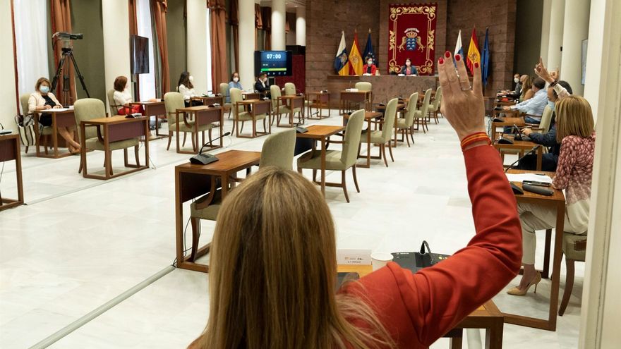 La comisión del Parlamento de Canarias de Derechos Sociales, Igualdad, Diversidad y Juventud aprobó este lunes el dictamen sobre la ley de no discriminación por razón de identidad de género. EFE/ Miguel Barreto
