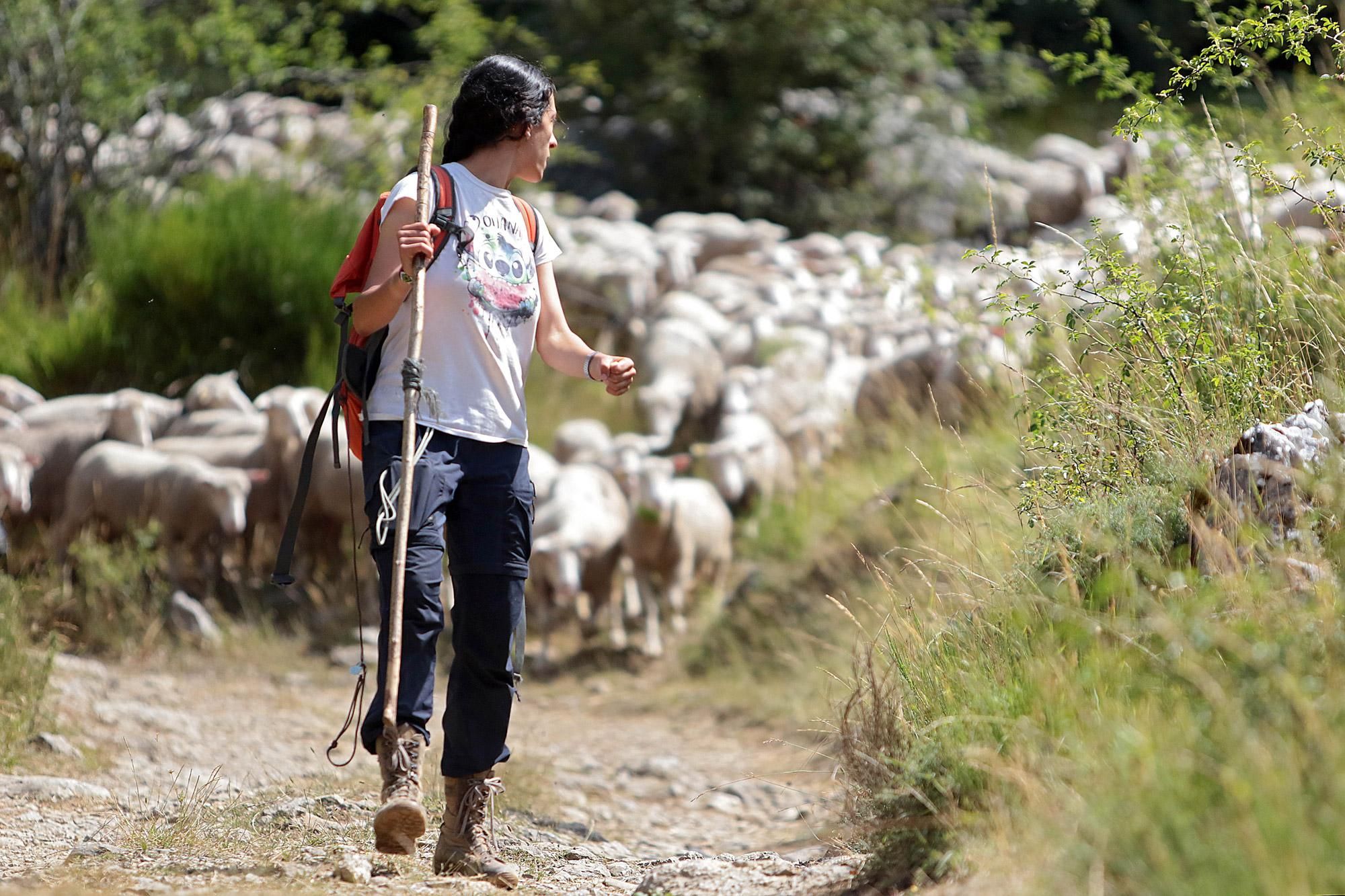 Una pastora trashumante.