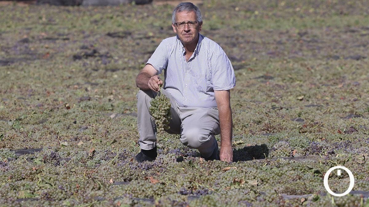 Antonio López, presidente de la cooperativa Bodegas La Aurora