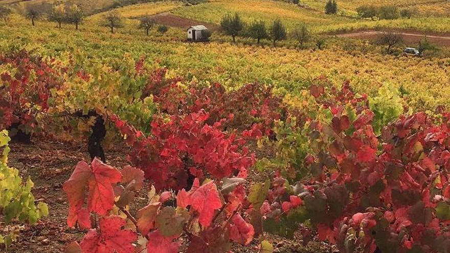 Imagen de infobierzo.com