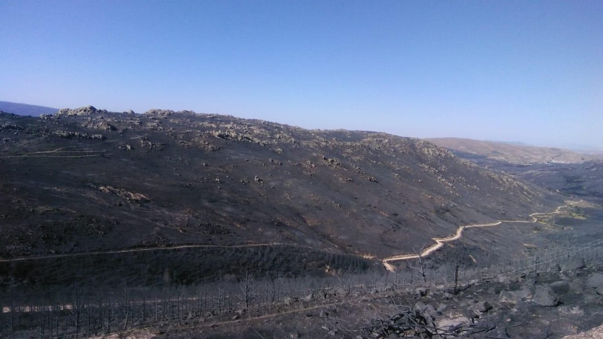 La Sierra de la Paramera, calcinada tras el incendio de agosto de 2021 en Ávila.