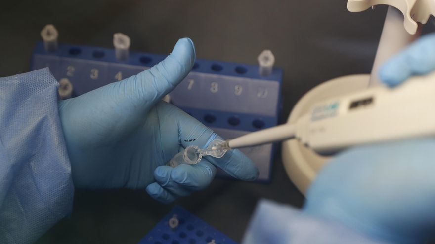 La terapia de Eli Lilly es similar a la que ha desarrollado la biotecnológica Regeneron y que le fue administrada a Trump durante su convalecencia a comienzos de este mes por su infección de COVID-19. EFE/Paolo Aguilar