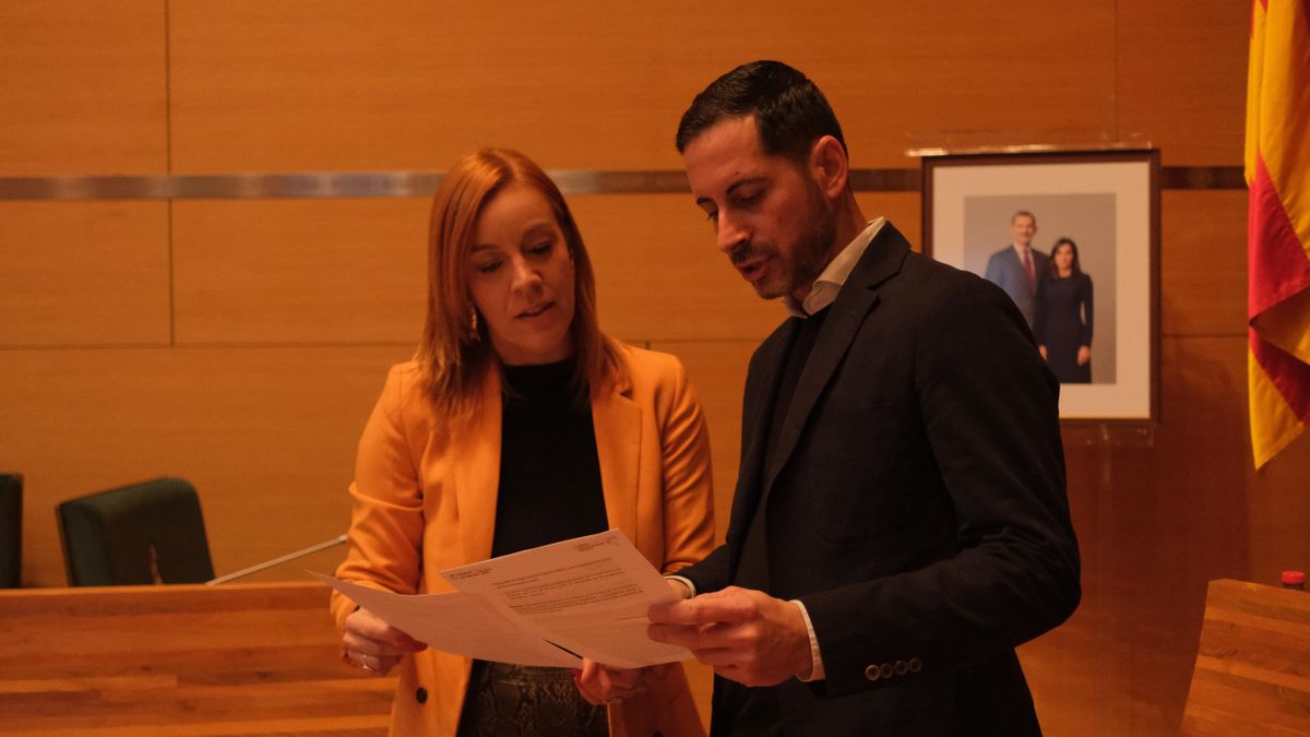 PSPV y Compromís solicitan un pleno extraordinario en la Diputació de València para frenar la "purga" ideológica y los despidos en el MuVIM