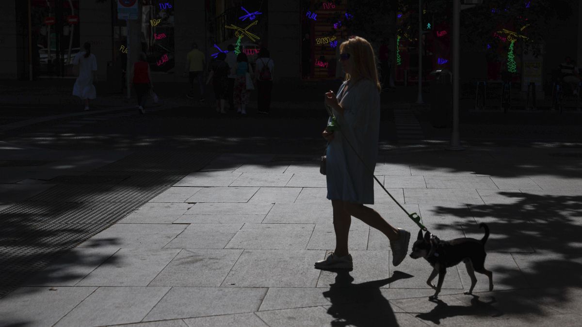 Una mujer camina con su perro por el centro de Madrid, en una foto de archivo