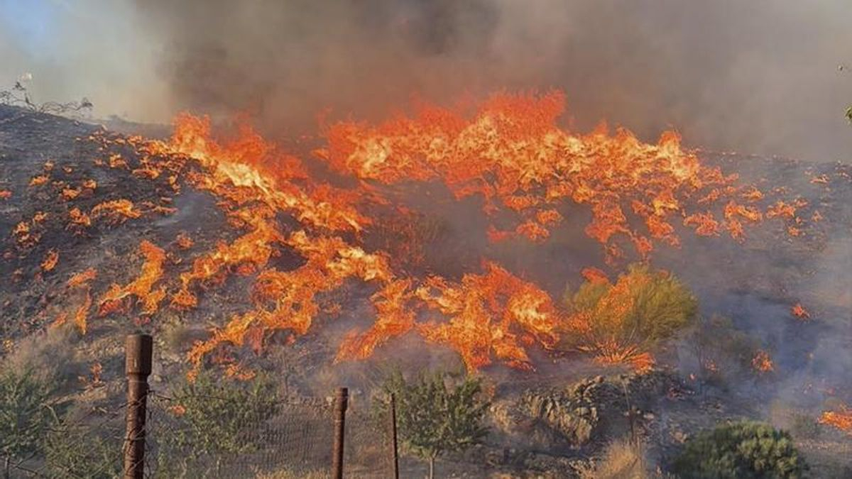 FOTOS | El incendio de Almería, en imágenes