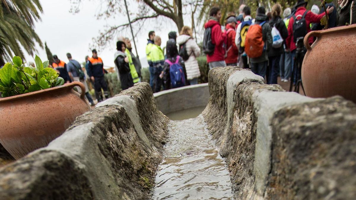 FOTOGALERÍA | Recorrido institucional por el Barranco del Guiniguada en el Día Mundial del Agua