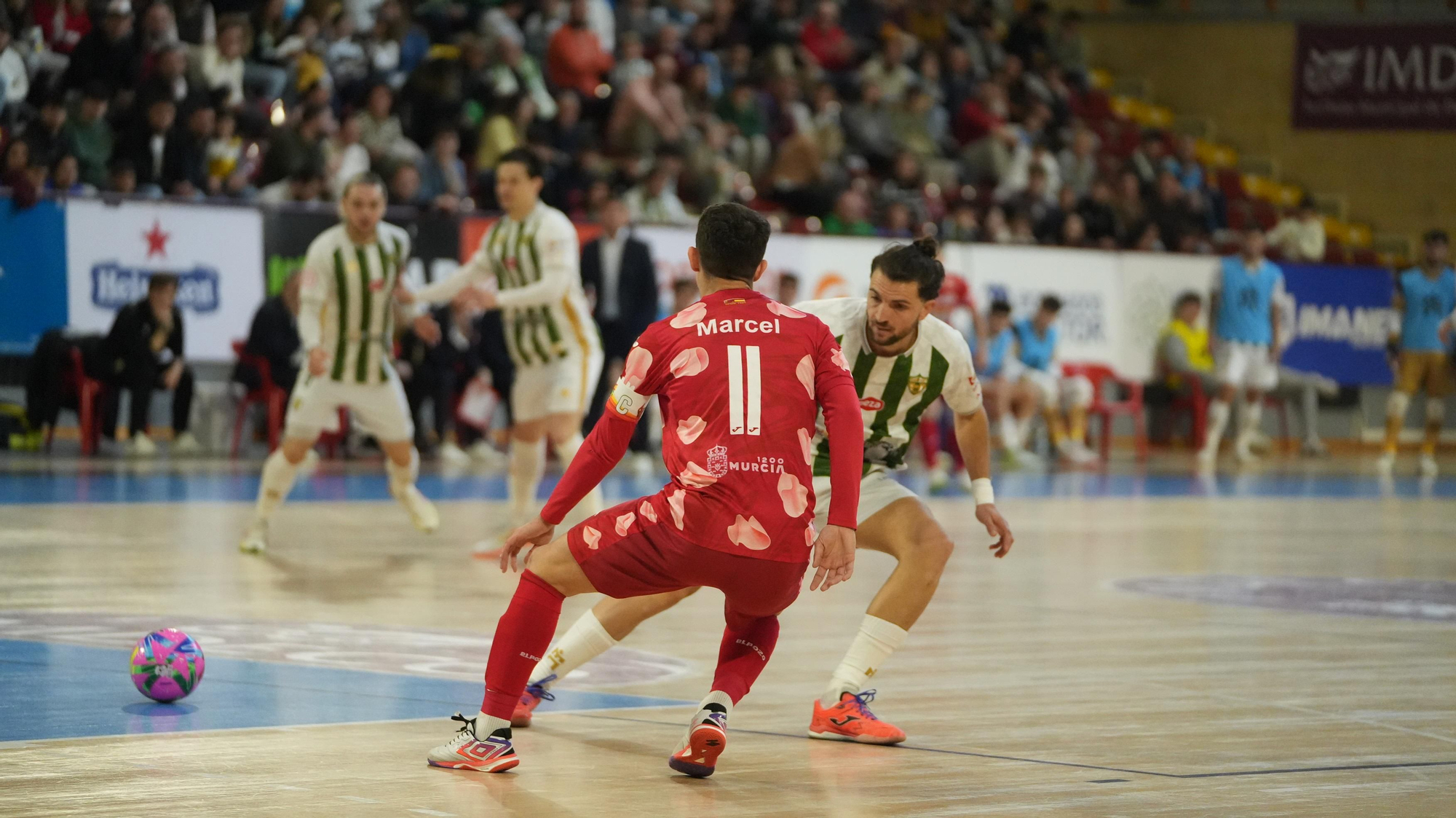 Las imágenes del Córdoba Patrimonio - ElPozo Murcia