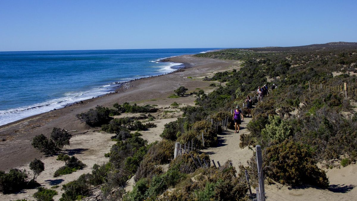 Punta Norte. Llegar hasta aquí demanda un rodeo por carreteras de ripio de casi 150 kilómetros. Pero merece la pena.
