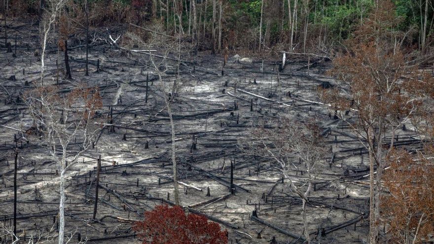 Los indígenas de la selva amazónica, acorralados por el Covid-19 y por una ley que intenta arrasar sus tierras