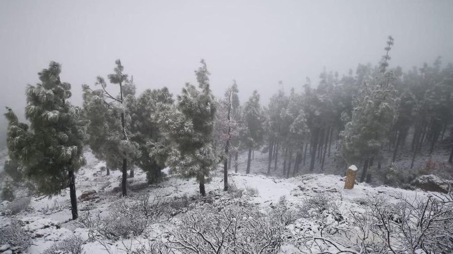 Paisaje helado en Gran Canaria