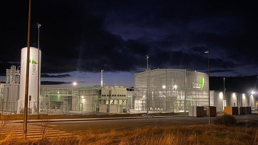 La empresa de extractos vegetales de Hervás sigue adelante con su inversión