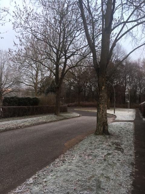 La calle en donde vivo, barrida por el frío, queda desierta cuando salimos