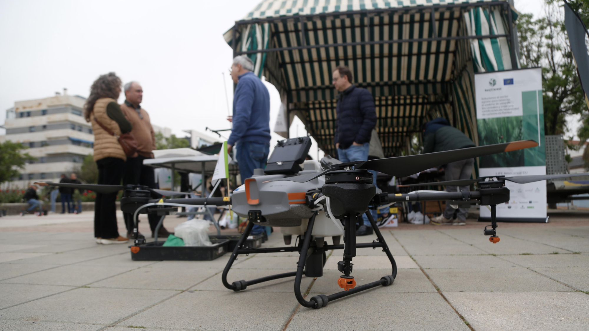 Paseo por la Ciencia 2026